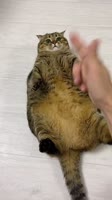 576x1024