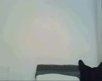 452x360