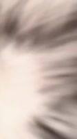 576x1024