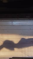 520x926