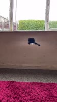 576x1024