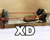 640x518