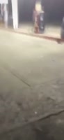 560x1210