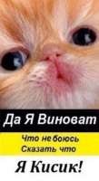 332x604