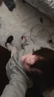 720x1280