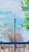 720x1280