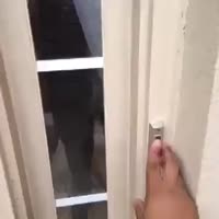 360x360