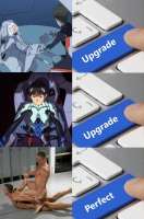499x751