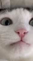 464x848
