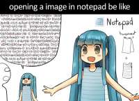 1280x929