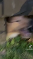 406x720