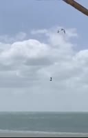 308x480