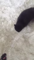 540x960