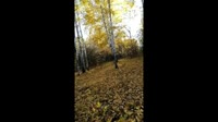 640x360