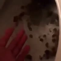360x360