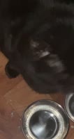 656x1232
