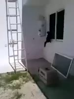 270x360
