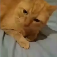360x360