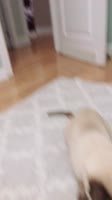 540x960