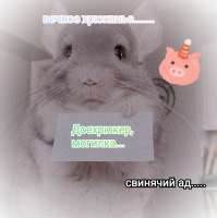 1080x1081