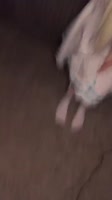 720x1280