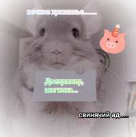 1080x1081