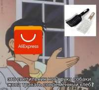 600x547