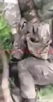 336x640