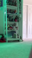 720x1280
