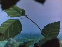 470x360