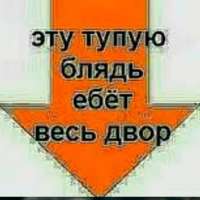 730x730