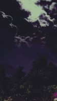 540x960