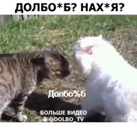 360x360