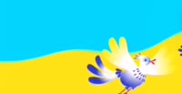 432x224