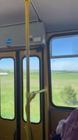 576x1024