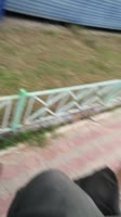 720x1280