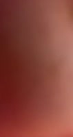 480x902