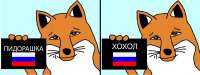 1582x600