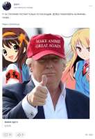 536x777