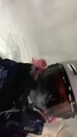 720x1280