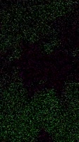 576x1024