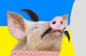 170x112