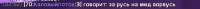 697x33