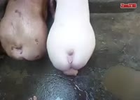 480x346