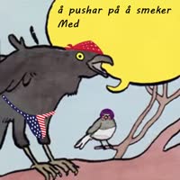 520x520