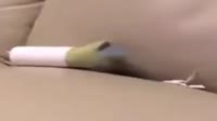 640x360