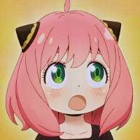 736x736