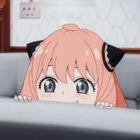 736x736