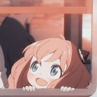 736x736