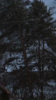 720x1272